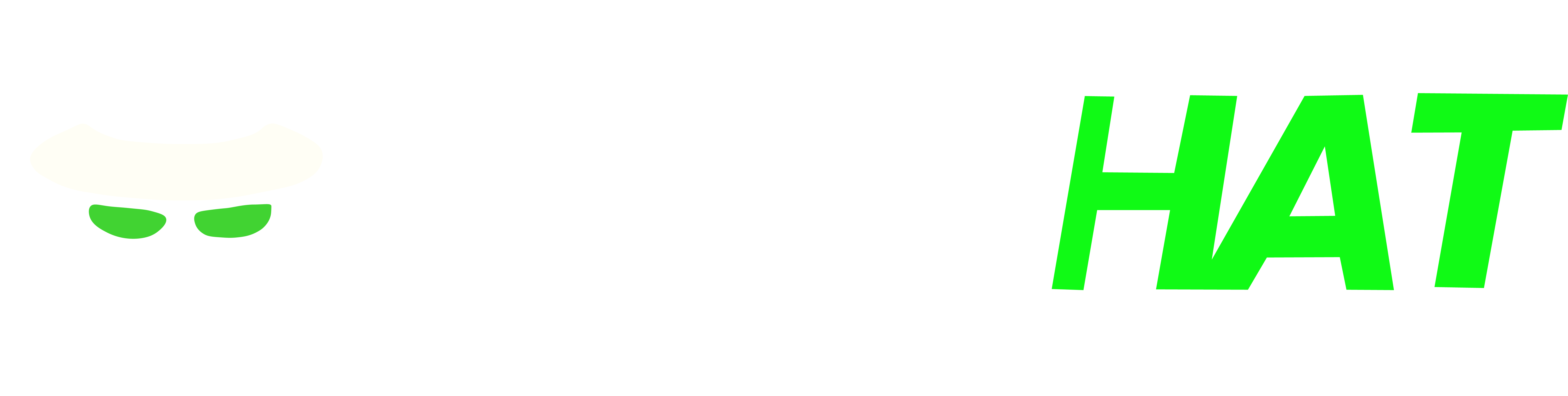 VULNHAT